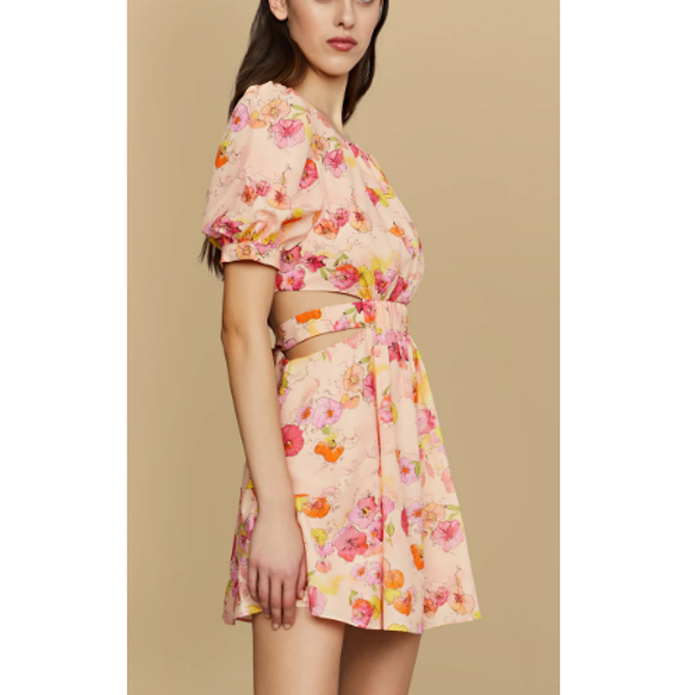 AMUR Women's Flowers in Cloud Short Sleeves Jewel Neck Cole Cutout Dress Size 2 - Picture 5 of 10